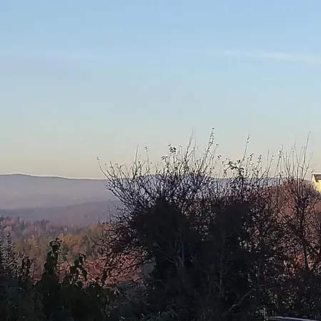 Haus Wiesenblick * Thurmansbang